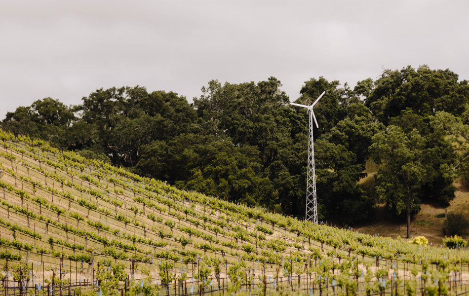 Paso Robles Winery Terroir