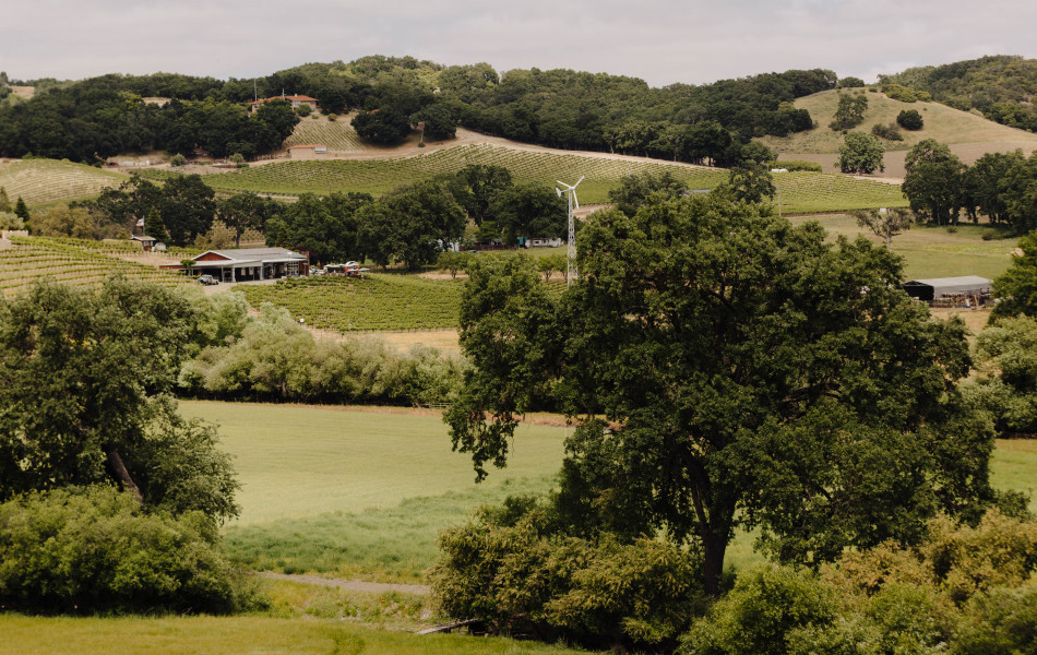 Paso Robles Sustainable Vineyard