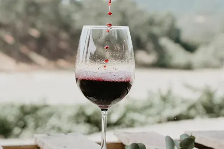 Wine Festival Weekend - Join us for a Library flight in the Tasting Room!