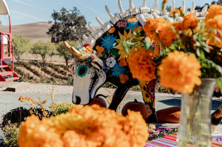 Oso Libre Dia de los Muertos Fiesta